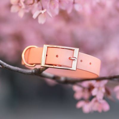 Tyylivoitto Classy panta, persikka/ruusukulta (L)