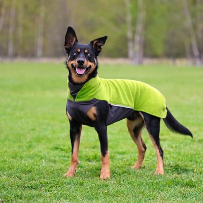 JumppaPomppa koiran paita, lime (85 cm)