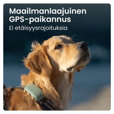 GPS koiralle Tractive XL