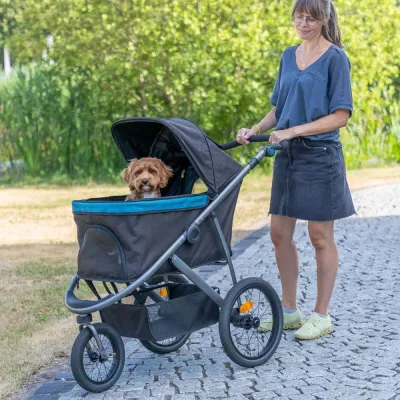 Koiran rattaat Trixie Buggy Premium, kuva 1 / 1