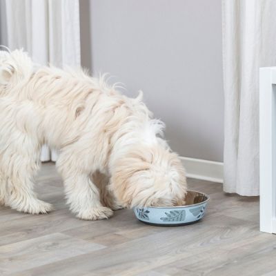 Trixie teräskuppi, vaaleansininen-harmaa (L)