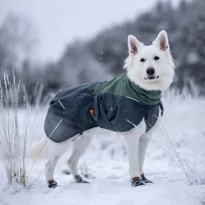 Non-stop Dogwear Non-Stop Glacier wool 2.0 talvitakki, vihreä/harmaa (27), kuva 1 / 1