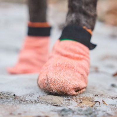 Non-stop Dogwear Non-Stop Protector Light koiran tossut, 4 kpl (XL)