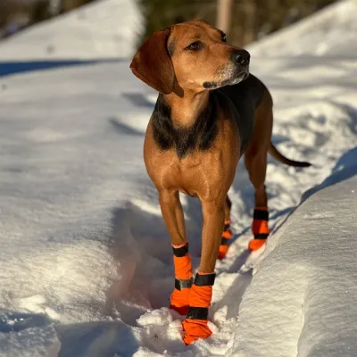 Non-stop Dogwear Non-Stop Contact pitkävartiset tossut, 4kpl (M), kuva 1 / 1