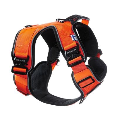 Cerberos Active valjaat, Rescue Orange (L)