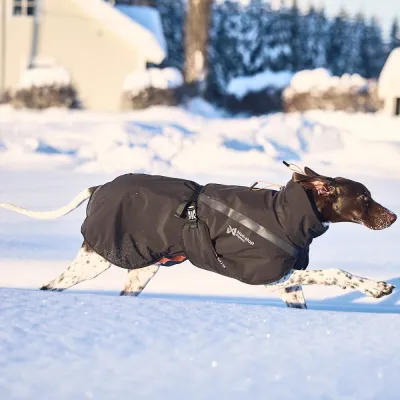 Non-stop Dogwear Non-Stop Trekking koiran talvitakki, musta (30), kuva 1 / 1