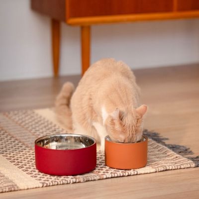 Metallikuppi Basic DoubleWall viininpunainen