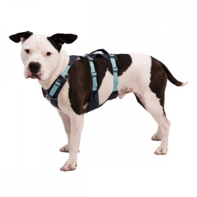 Ruffwear Flagline valjaat, harmaa (S)