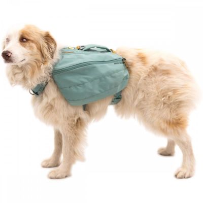 Koiranreppu Ruffwear Front Range, River Rock Green (M)