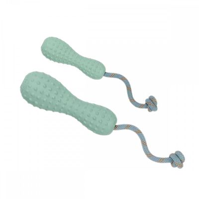 Ruffwear Gourdo koiranlelu, salvia (Large)