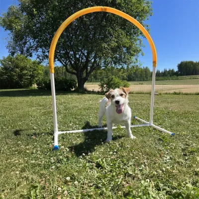 Hoopers Hoop PetEasy