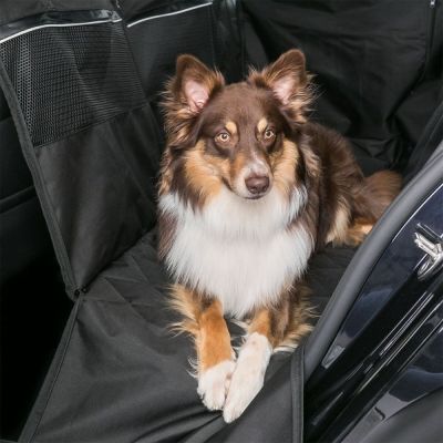 Penkinsuoja Trixie, 155 x 130 cm