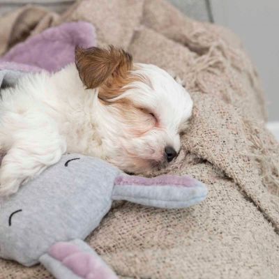 Trixie Junior peitto & pupu