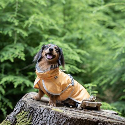 Viilennystakki koiralle Rukka Crisp UV (25)