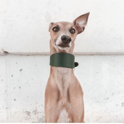 Collar of Sweden leveä solkipanta, tummanvihreä (L)