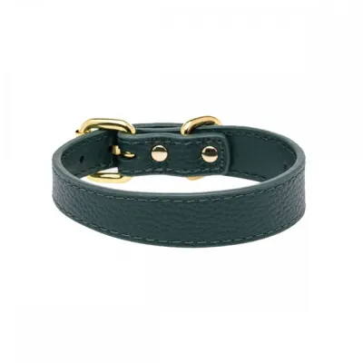 Collar of Sweden solkipanta kapea, tummanvihreä (L), kuva 1 / 1