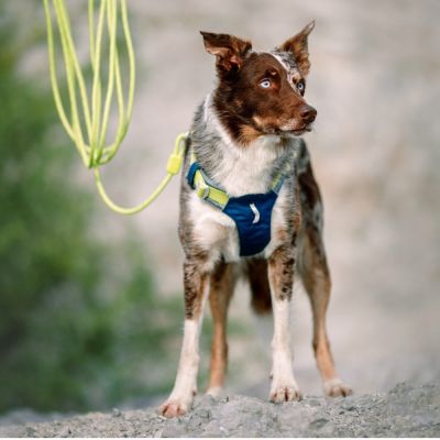 Woolly Wolf pitkä köysitalutin, lime 8 mm x 6 m