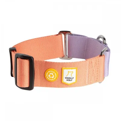 Woolly Wolf Color Block martingaalipanta, Salmon Pink Mix (S), kuva 1 / 1