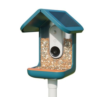 Bird Buddy -lintulauta kameralla