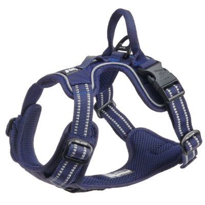 Feel Active Training valjas, sininen (XL)