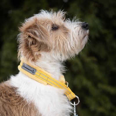 Kusse & Kutta puolikiristävä pehmopanta, keltainen (4)