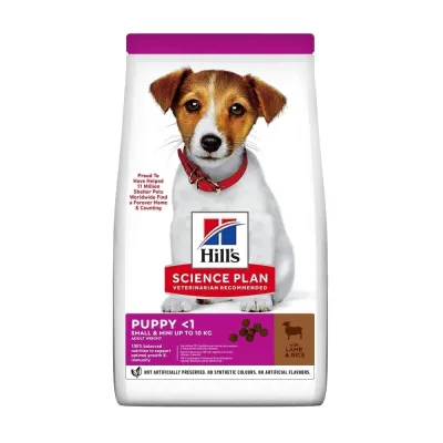 Hill's SP Canine Small & Mini Puppy Lamb (6 kg), kuva 1 / 1