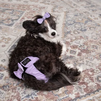 RuttuNuttu juoksupöksyt, Diva lila (S), kuva 1 / 1