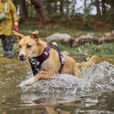 Hurtta Weekend Warrior II ECO valjas, munakoiso (45-60)