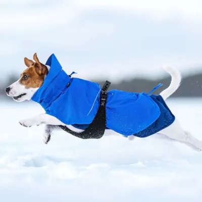 Rukka Discovery 3in1 koirantakki, sininen (40), kuva 1 / 1