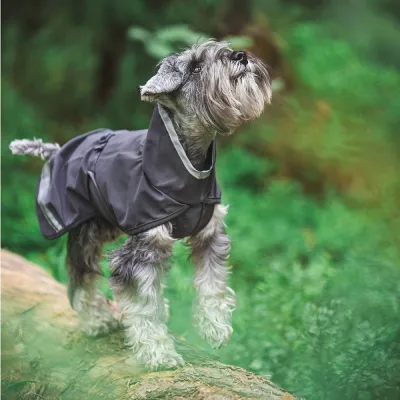 KuoriPomppa, grafiitti (60), kuva 1 / 1