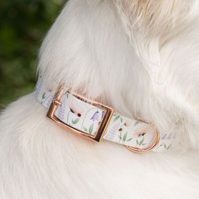 Tyylivoitto Unique panta, kukka/ruusukulta (S)