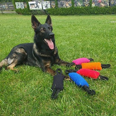 Dingo Gear Bungee Bite Tug (Musta)