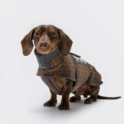 Mäyräkoiran takki Cloud7 Brooklyn Waxed Tartan (6)