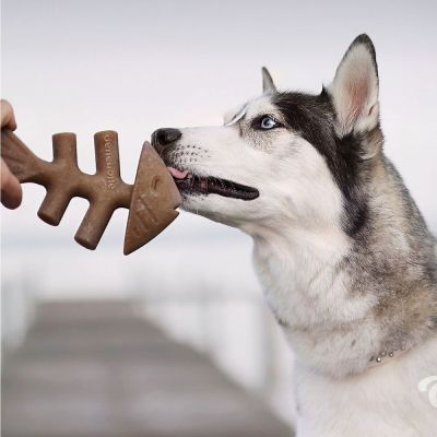 Benebone Fishbone (XL)