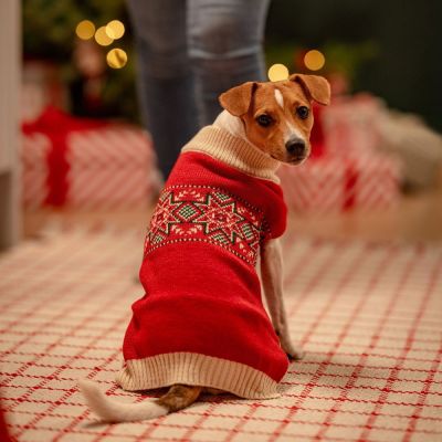 Koiran joulupaita Little&Bigger Nostalgic (30 cm)