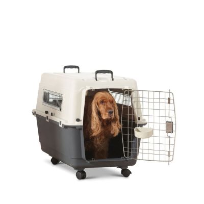 Lentohäkki Savic Andes (5)