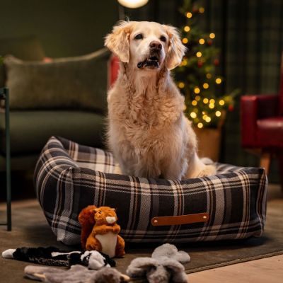 Basic Premium Swift koiranpeti tummanharmaa tartan (60 x 45 cm)