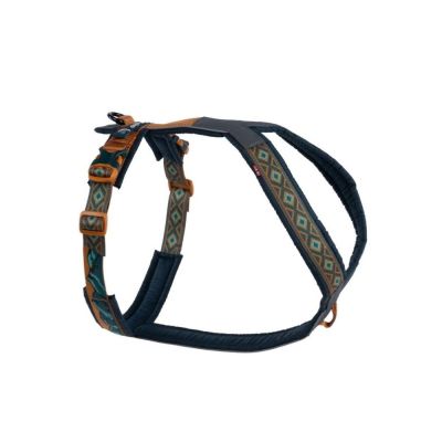 Non-stop Dogwear Non-stop Line 5.0 RP koiran valjaat, teal/oak (5)