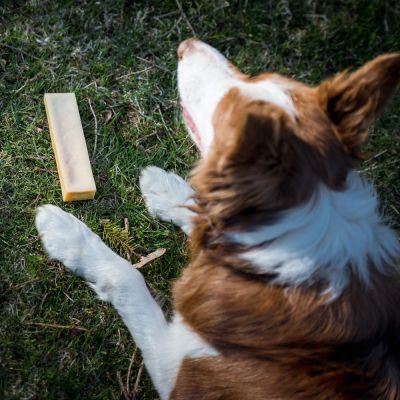 Effe Chews juustoluu, kurkuma (XL)