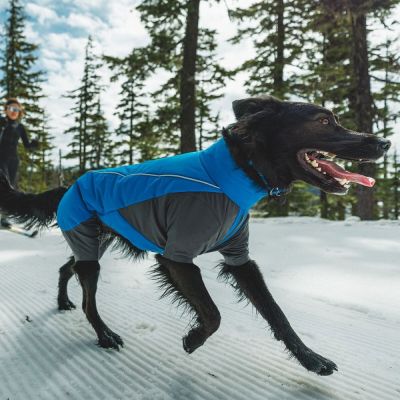 Ruffwear Vert koiran talvihaalari, sininen (S)