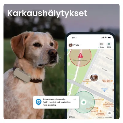 Koiran paikannin Tractive DOG 6