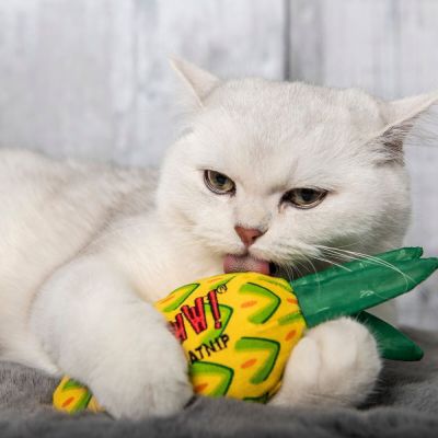 Yeowww! Kissanminttulelu Ananas