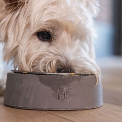 Designed by Lotte betonikuppi Ribocco (700 ml)