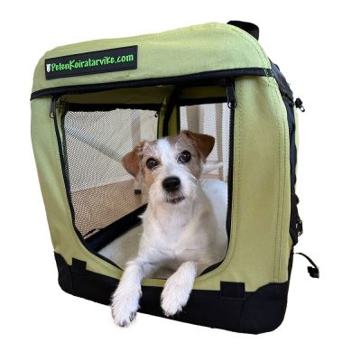 Kevythäkki PetEasy saniainen (L)