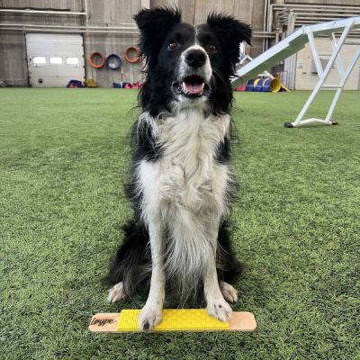 Loype Targetti Strivee, keltainen (L)