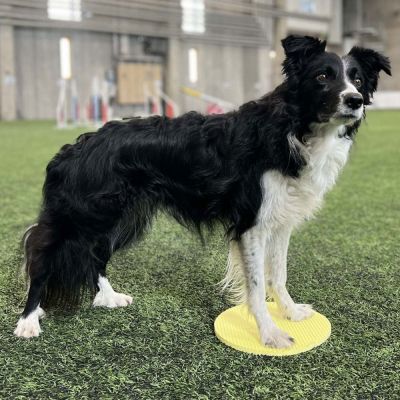 Loype Targetti Pivot, keltainen