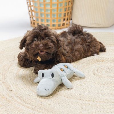 Beeztees Beezteez krokotiili Jake aktivointipehmolelu