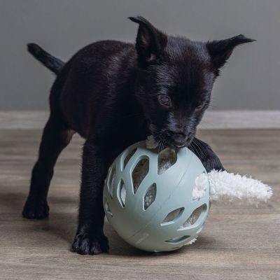 Beeztees Beezteez Odoro Kumipallo pennulle