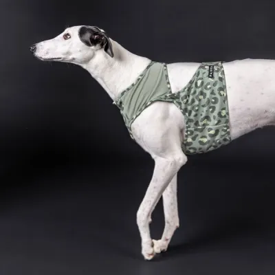 PAIKKA Cool Vest -viilennysliivi, Green leo (XS)