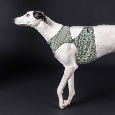 PAIKKA Cool Vest -viilennysliivi, Green leo (S)